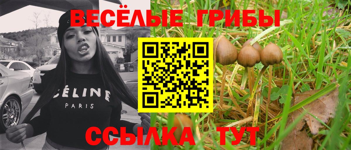 Псилоцибиновые грибы Psilocybine cubensis Норильск