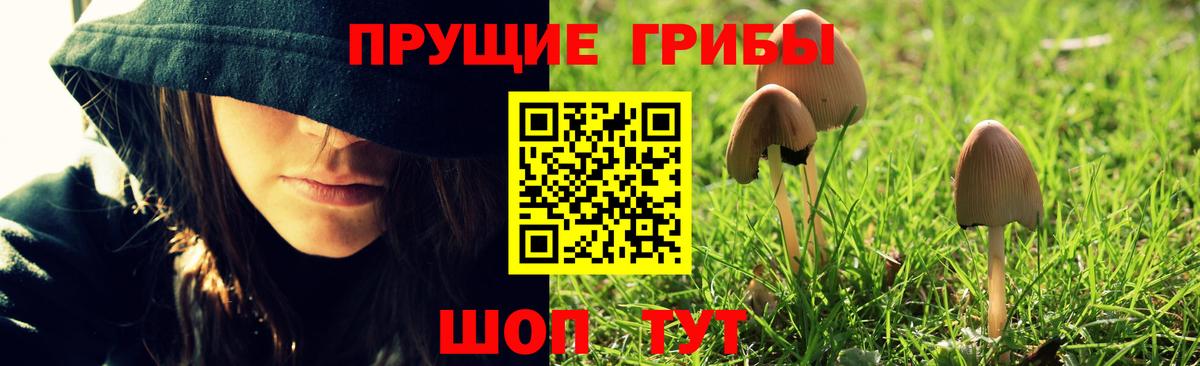 Псилоцибиновые грибы Magic Shrooms  Галлюциногенные грибы мухоморы  Норильск  Вход с VPN 